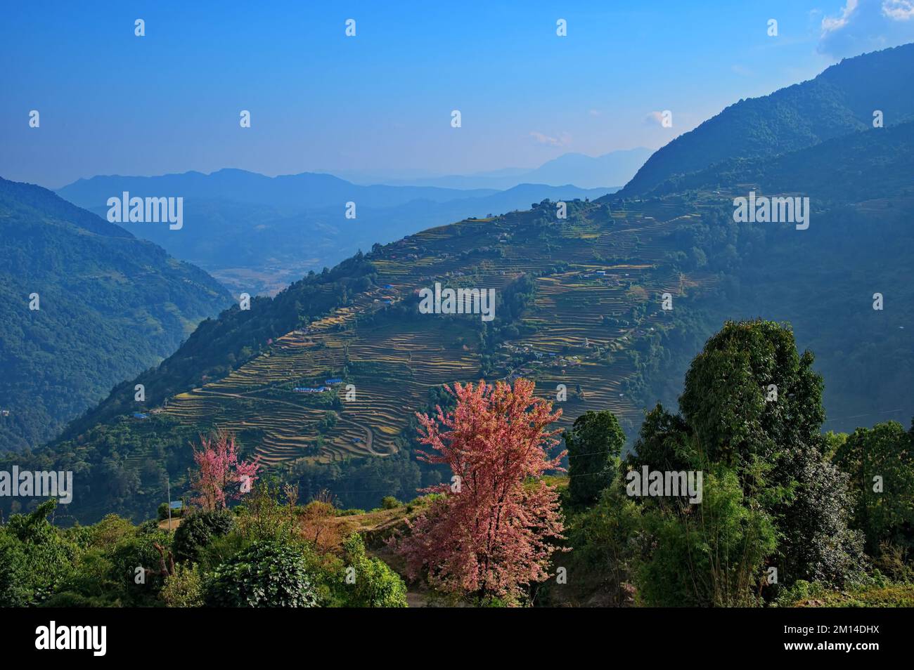 Scenic view of cultivated hills in Annapurna massif, Nepal Stock Photo