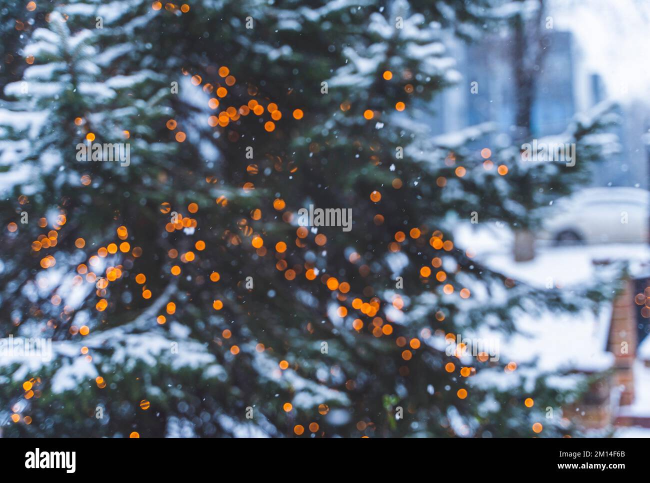 Christmas tree with lights glowing in the snow Stock Photo - Alamy