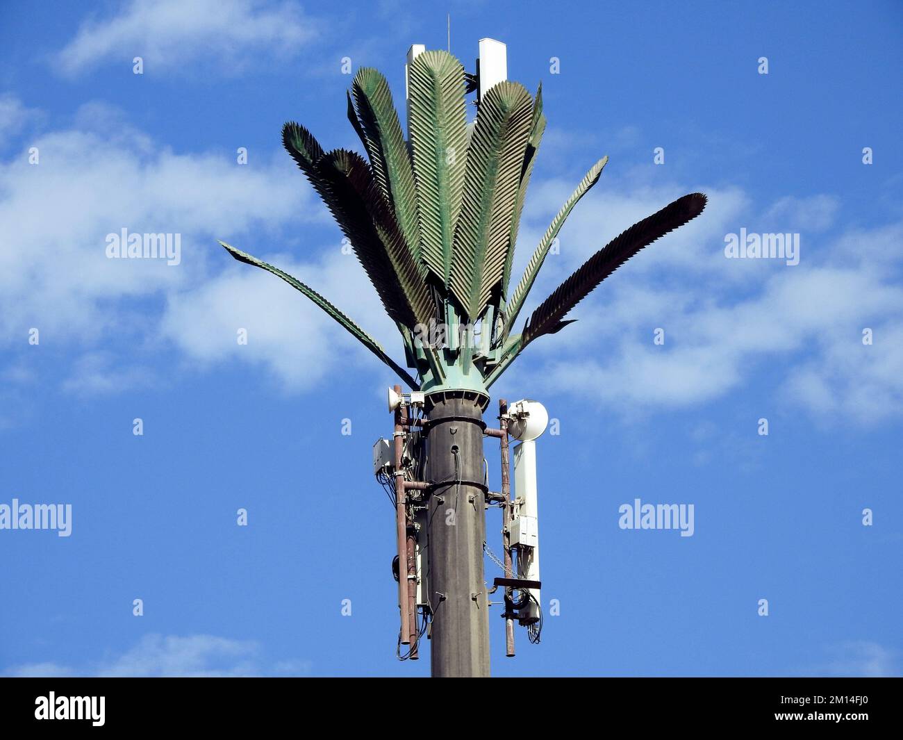 cell phone tower in Egypt or cellular phone antenna disguised on fake