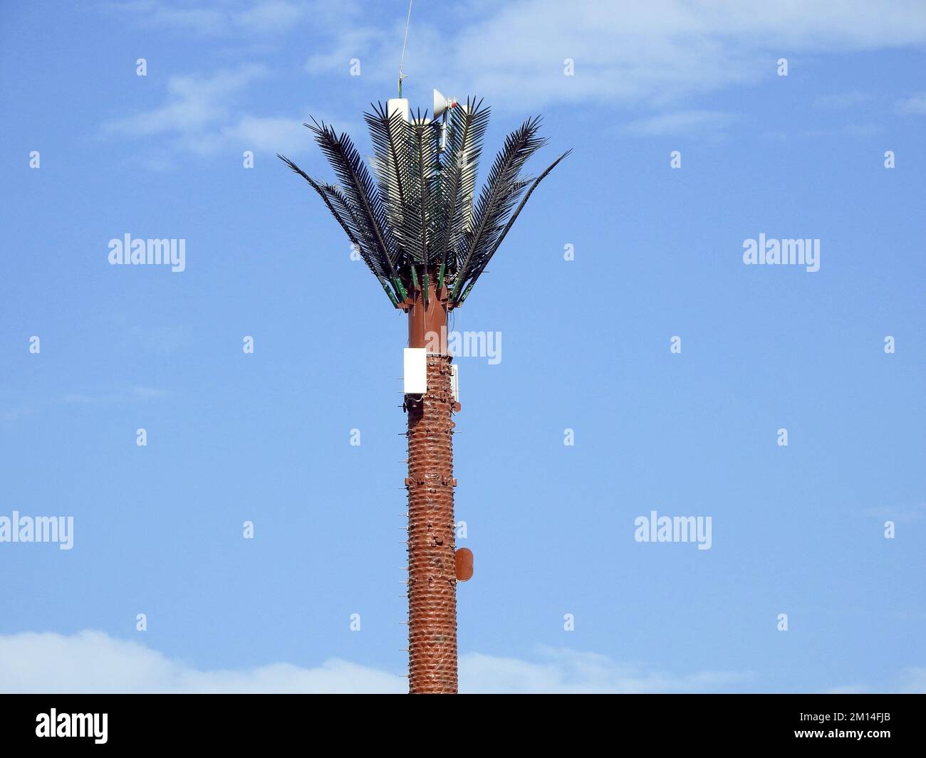 cell phone tower in Egypt or cellular phone antenna disguised on fake