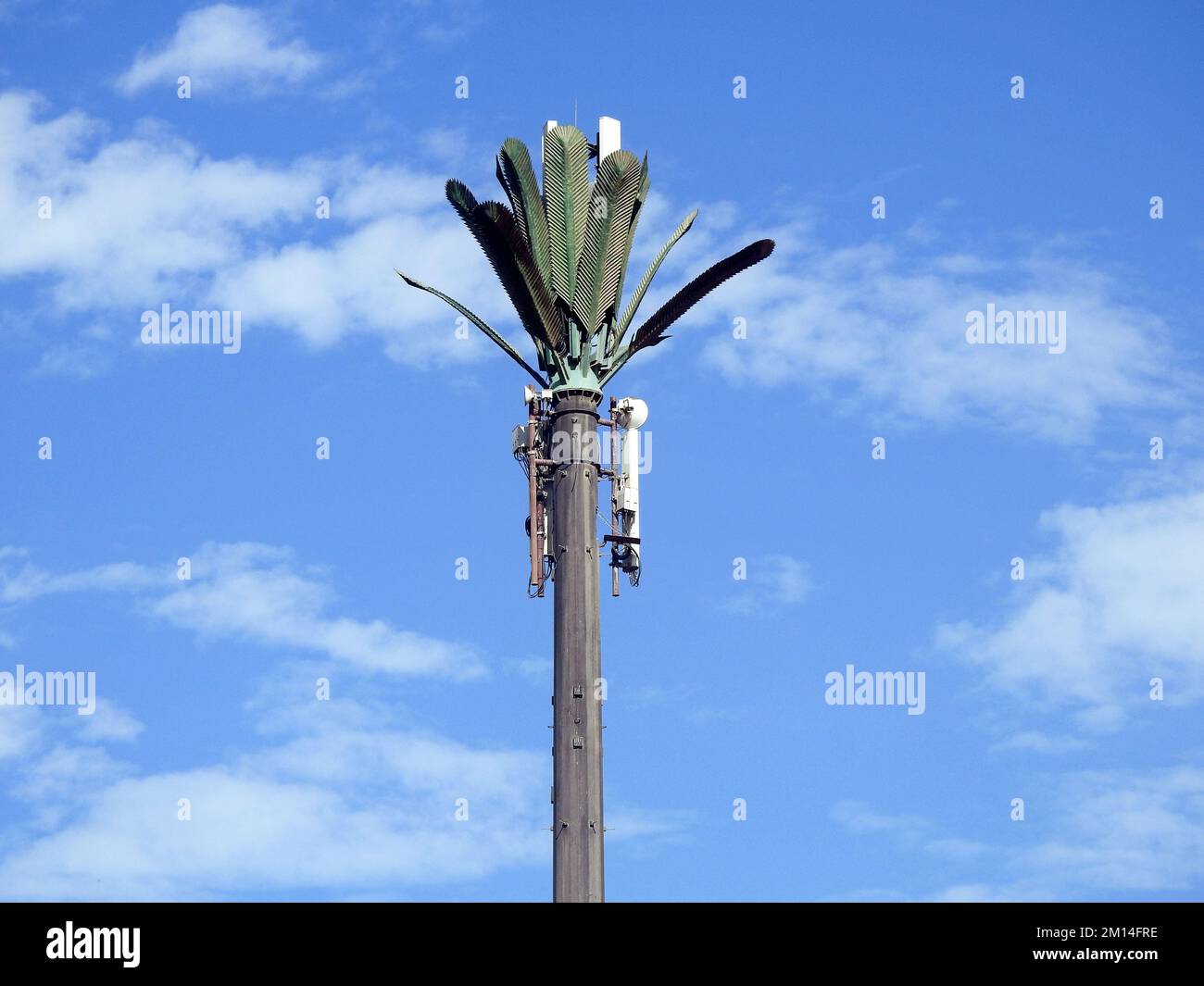 cell phone tower in Egypt or cellular phone antenna disguised on fake