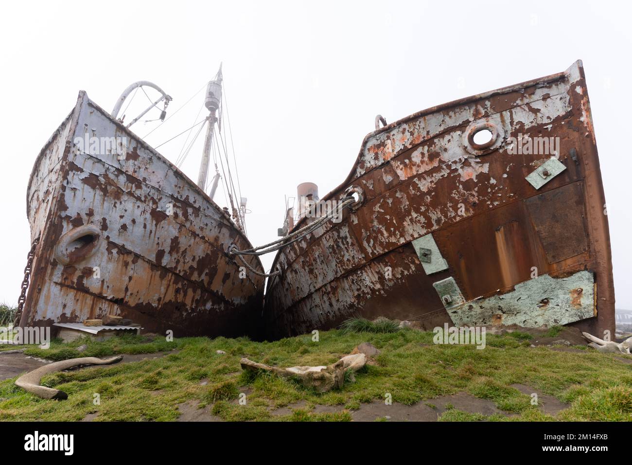 Old, rusty whaling ships and processing facilities at a now abandoned ...