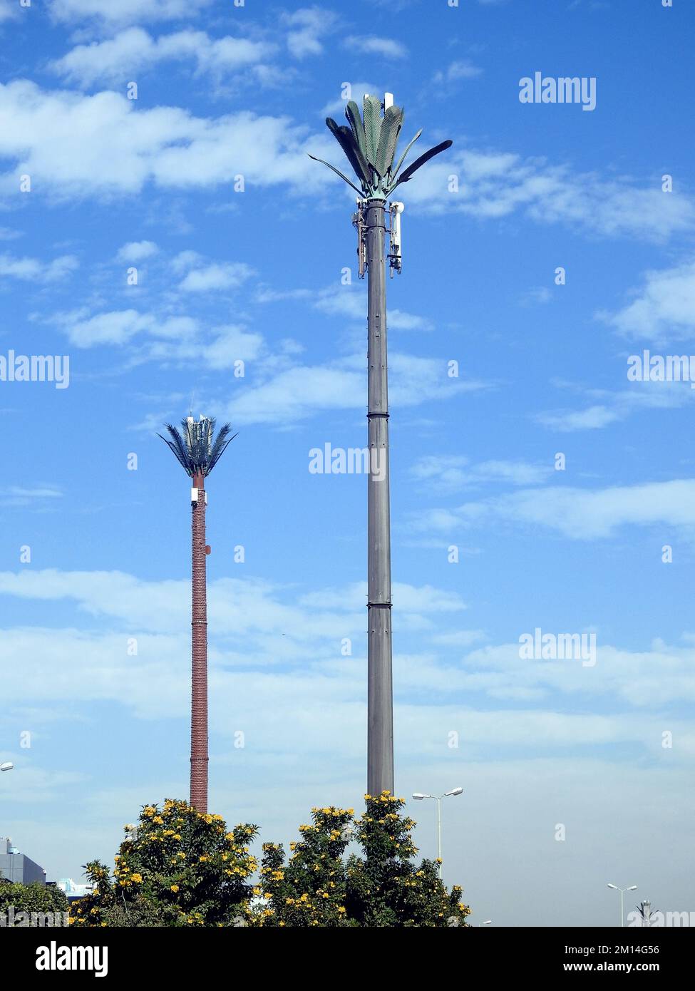 cell phone tower in Egypt or cellular phone antenna disguised on fake