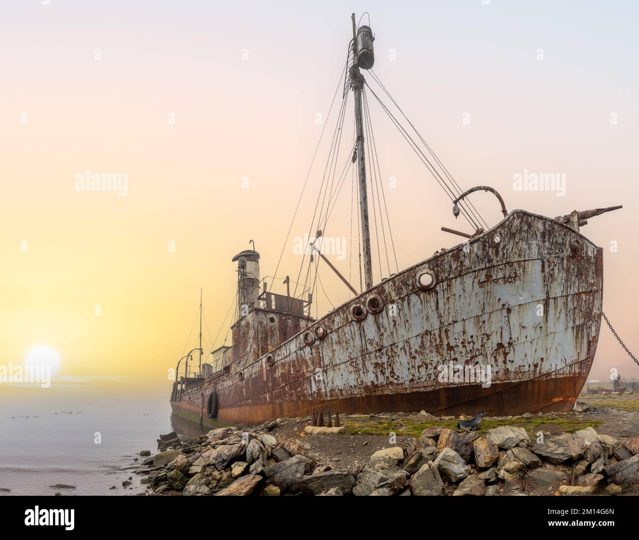 Old, rusty whaling ships and processing facilities at a now abandoned ...