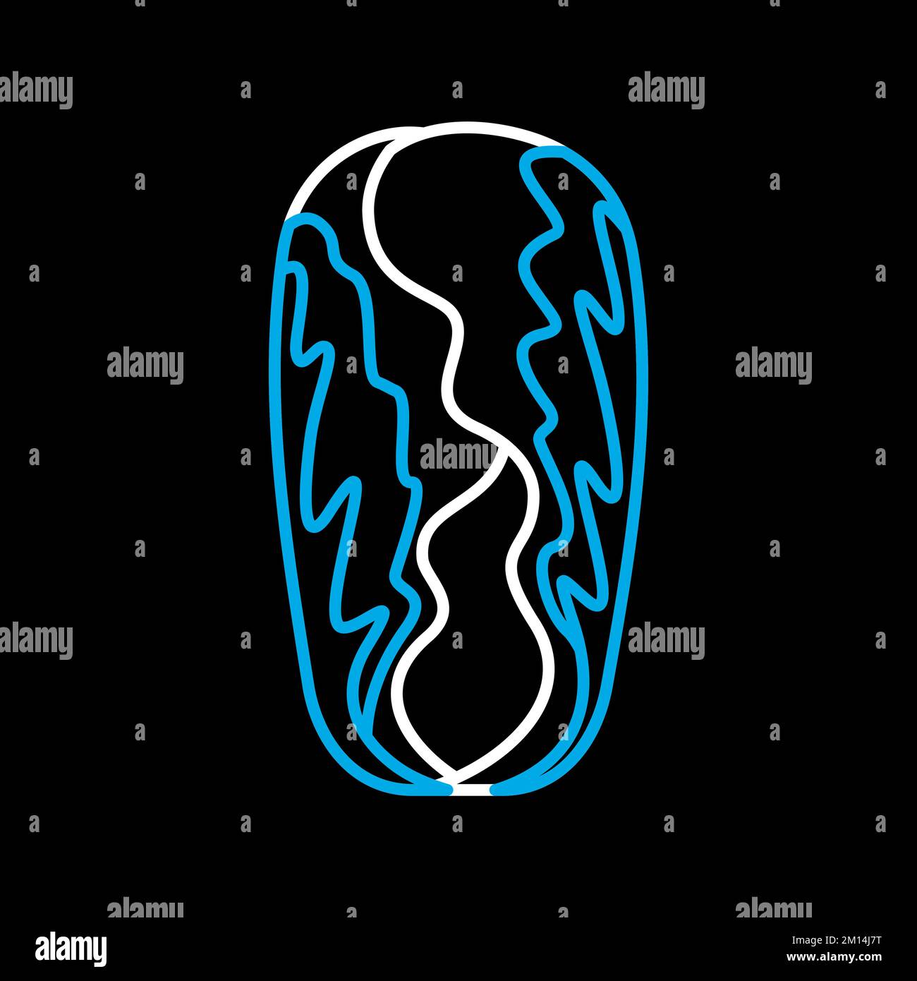 Chinese cabbage isolated vector on black background icon. Vegetable ...