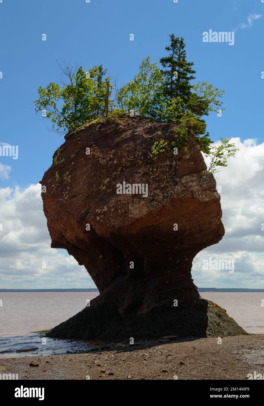 Hopewell rocks blue sky beach hi-res stock photography and images - Alamy