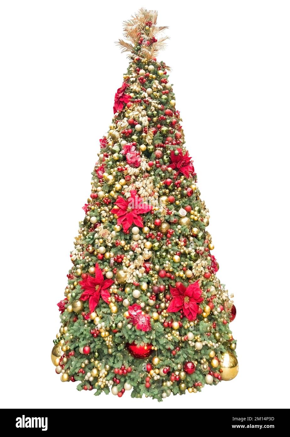 verde albero su bianca 68291197 Stock Photo su Vecteezy, image size:922x1390