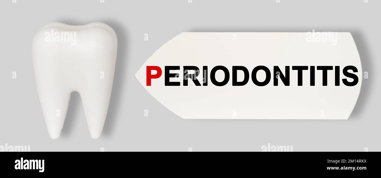 Medical, dental concept. Prevention of dental diseases. Plastic model