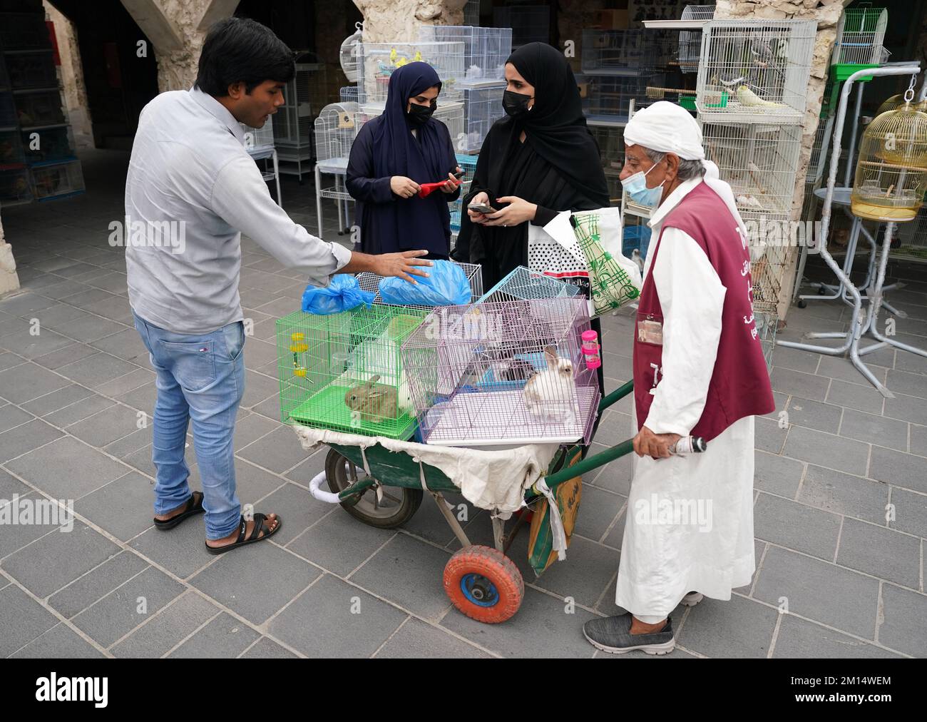 Qatar doha souq waqif rabbits hires stock photography and images Alamy