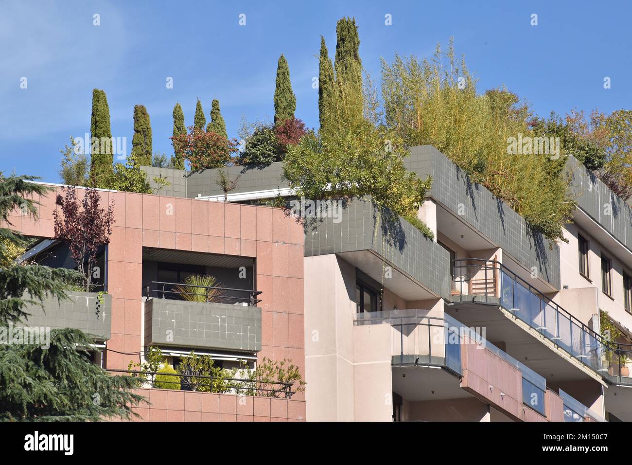 Spectacularly luxuriant roof gardens with full grown trees and shrubs on a block of apartments in a narrow street in Toulouse, France Stock Photo