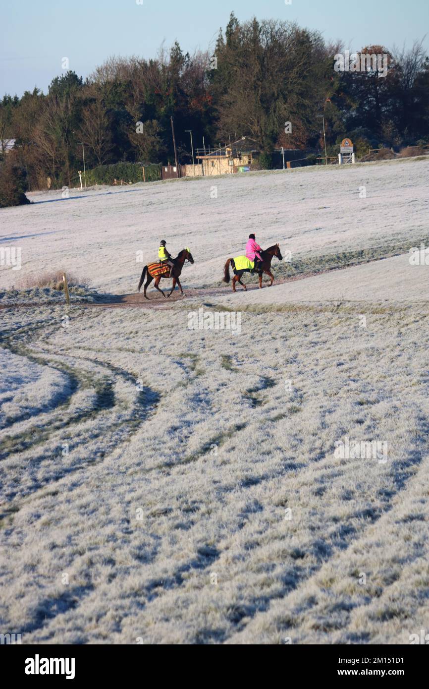 Epsom Downs Surrey, UK. 10th Dec, 2022. With tempertures at minus 4 degrees celsius at sunrise there was a heavy frost covering Epsom Downs today. Horses out for their morning exercise. Credit: Julia Gavin/Alamy Live News Stock Photo