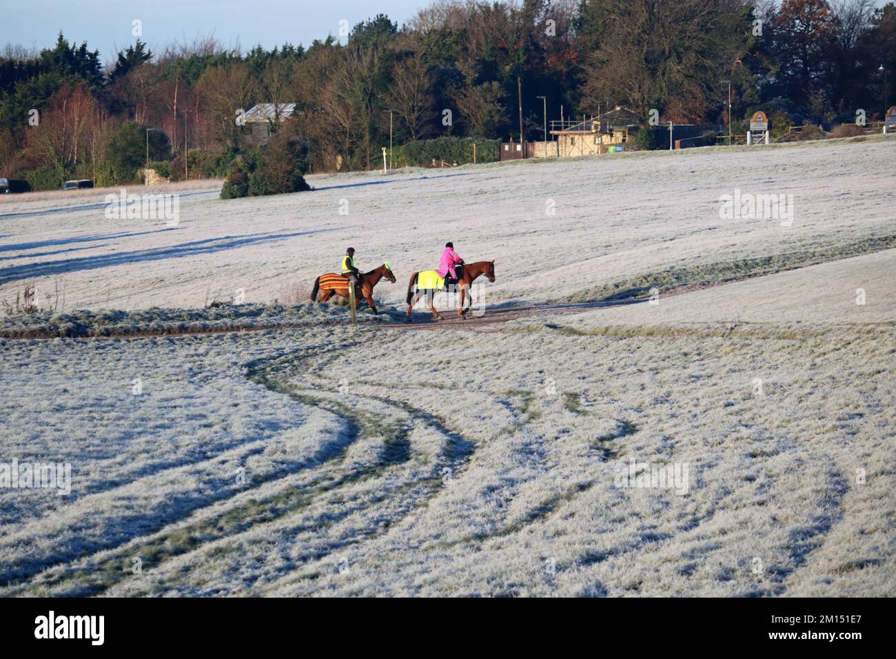 Epsom Downs Surrey, UK. 10th Dec, 2022. With tempertures at minus 4 degrees celsius at sunrise there was a heavy frost covering Epsom Downs today. Horses out for there morning exercise. Credit: Julia Gavin/Alamy Live News Stock Photo