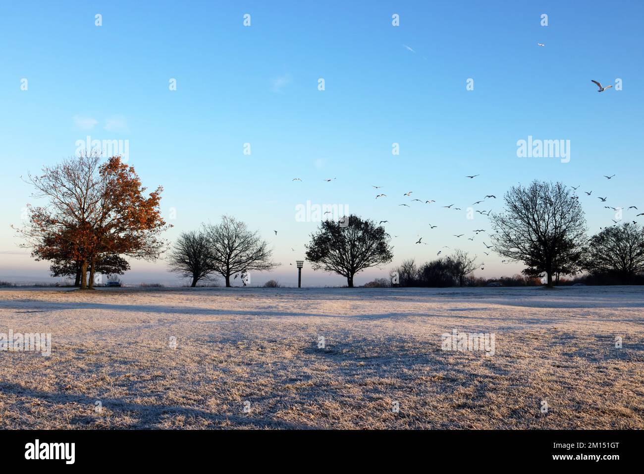 Epsom Downs Surrey, UK. 10th Dec, 2022. With tempertures at minus 4 degrees celsius at sunrise there was a heavy frost covering Epsom Downs today. Credit: Julia Gavin/Alamy Live News Stock Photo