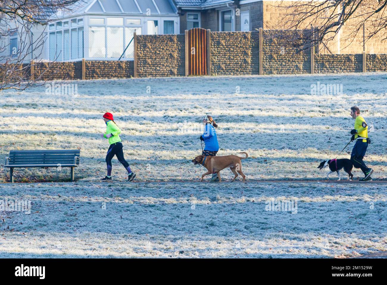 Chippenham, Wiltshire, UK, 10th Dec, 2022. With forecasters predicting that the cold weather will continue into next week runners and their dogs are pictured as they take part in an early morning 5km park run in Monkton Park, Chippenham, Wiltshire.. Credit: Lynchpics/Alamy Live News Stock Photo