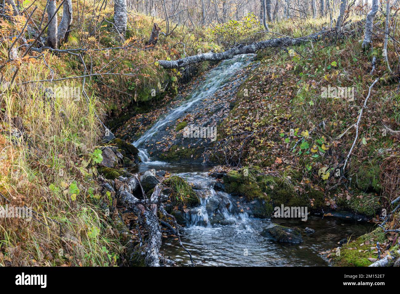 Waterstream Waterstream. Fall. Tromsø. Norway Stock Photo - Alamy
