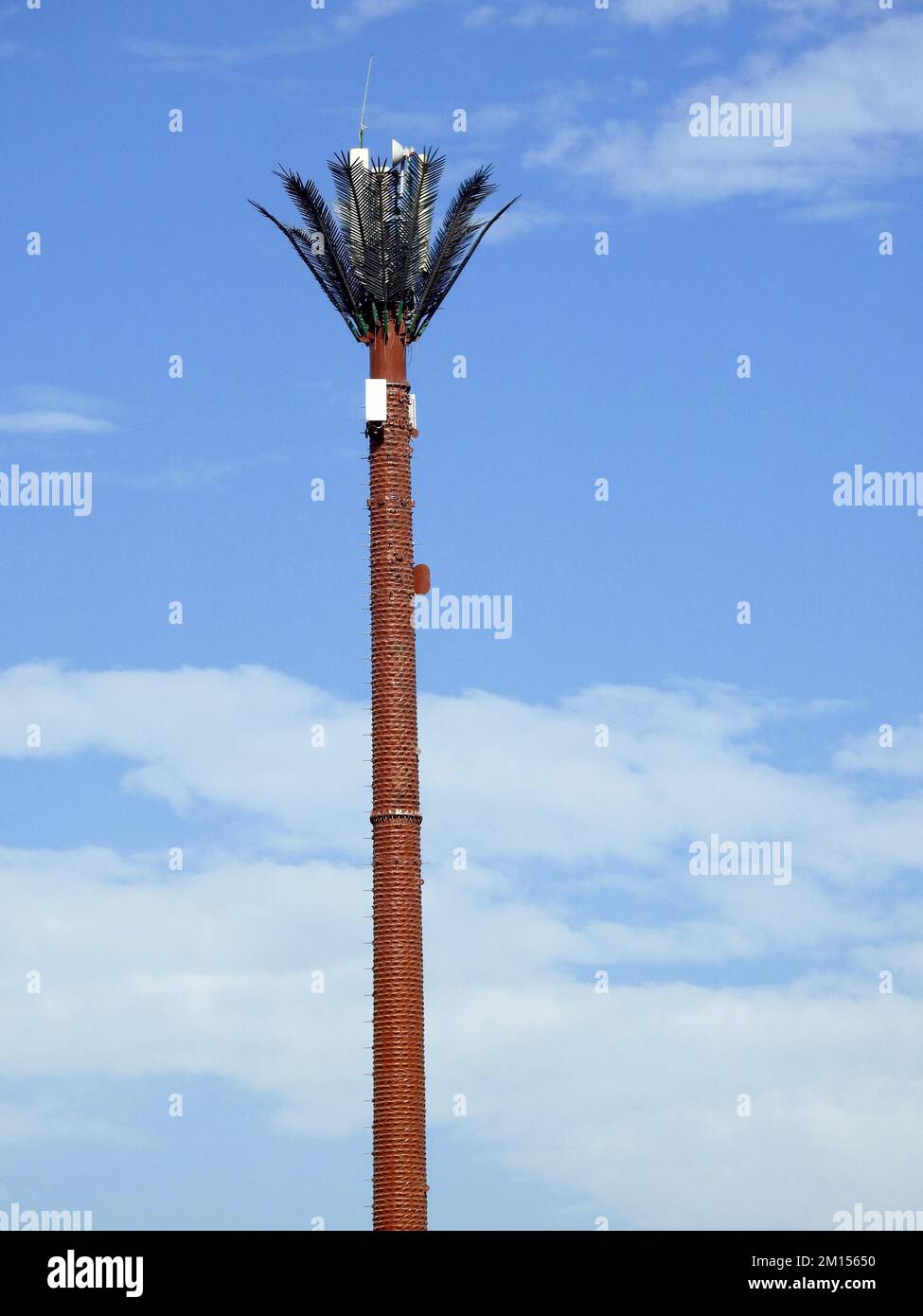 cell phone tower in Egypt or cellular phone antenna disguised on fake