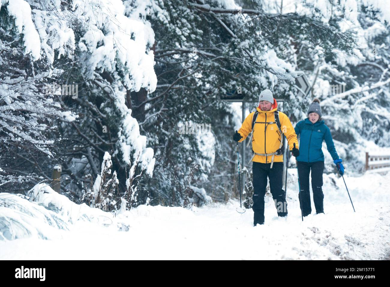 Walkers in snowy conditions in the Cairngorms National Park near