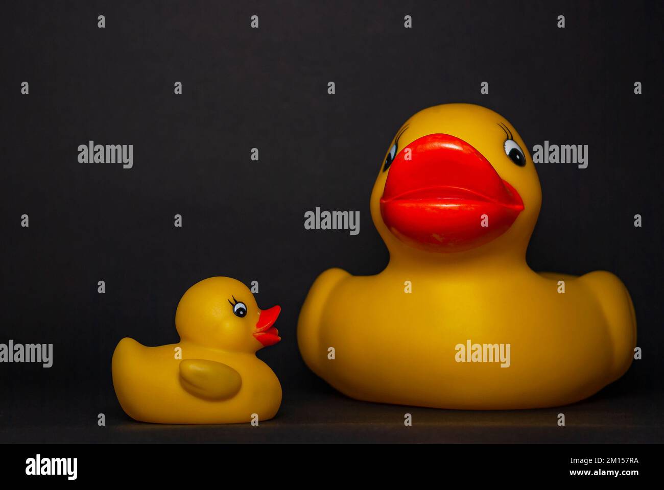 Two rubber ducks, large and small, isolated against a black background, concept of toddler play and the relationship of mother and child. Stock Photo