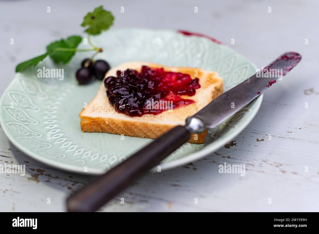 Toasted bread with black currant jam Stock Photo
