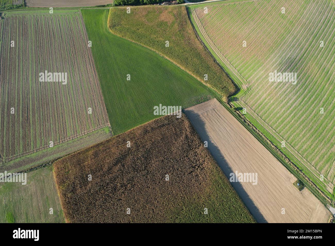 An aerial view of green agricultural fields and crops ready for ...