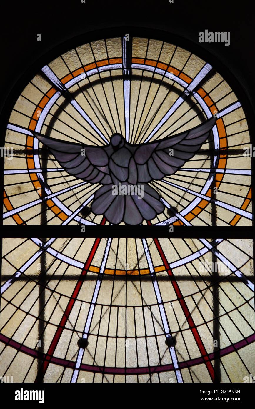 Stained glass window depicting a white dove, symbol of peace Stock Photo Alamy
