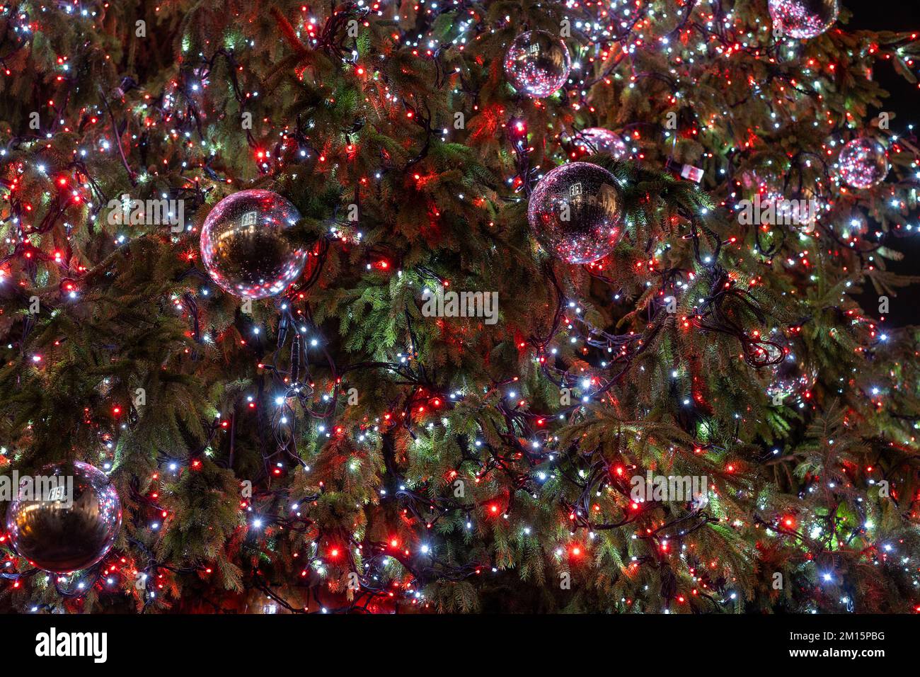 Red, White and Green Christmas Tree Lights. Outdoor Decorated Christmas Tree With Garland And 