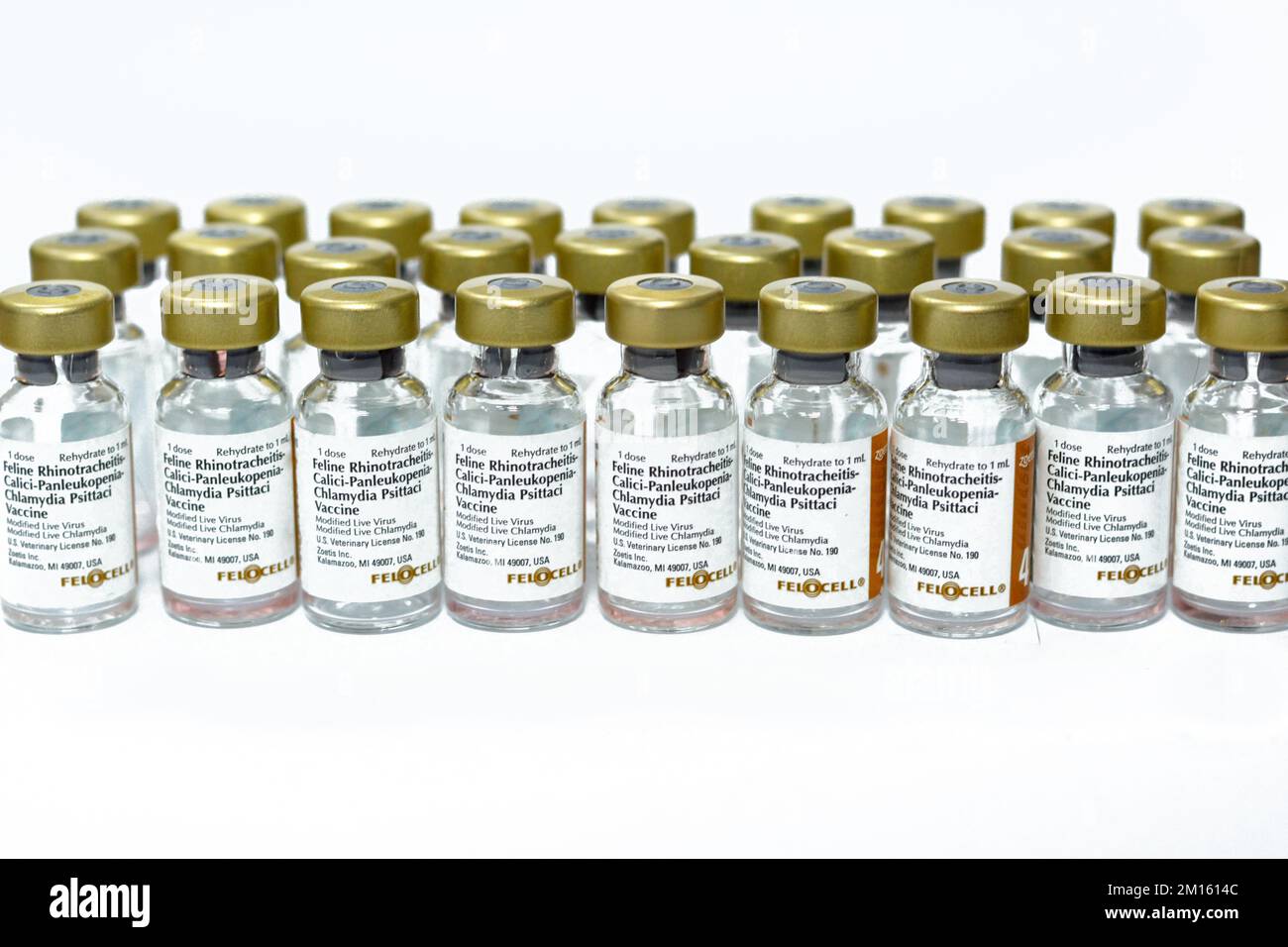Felocell sales 4 vaccine