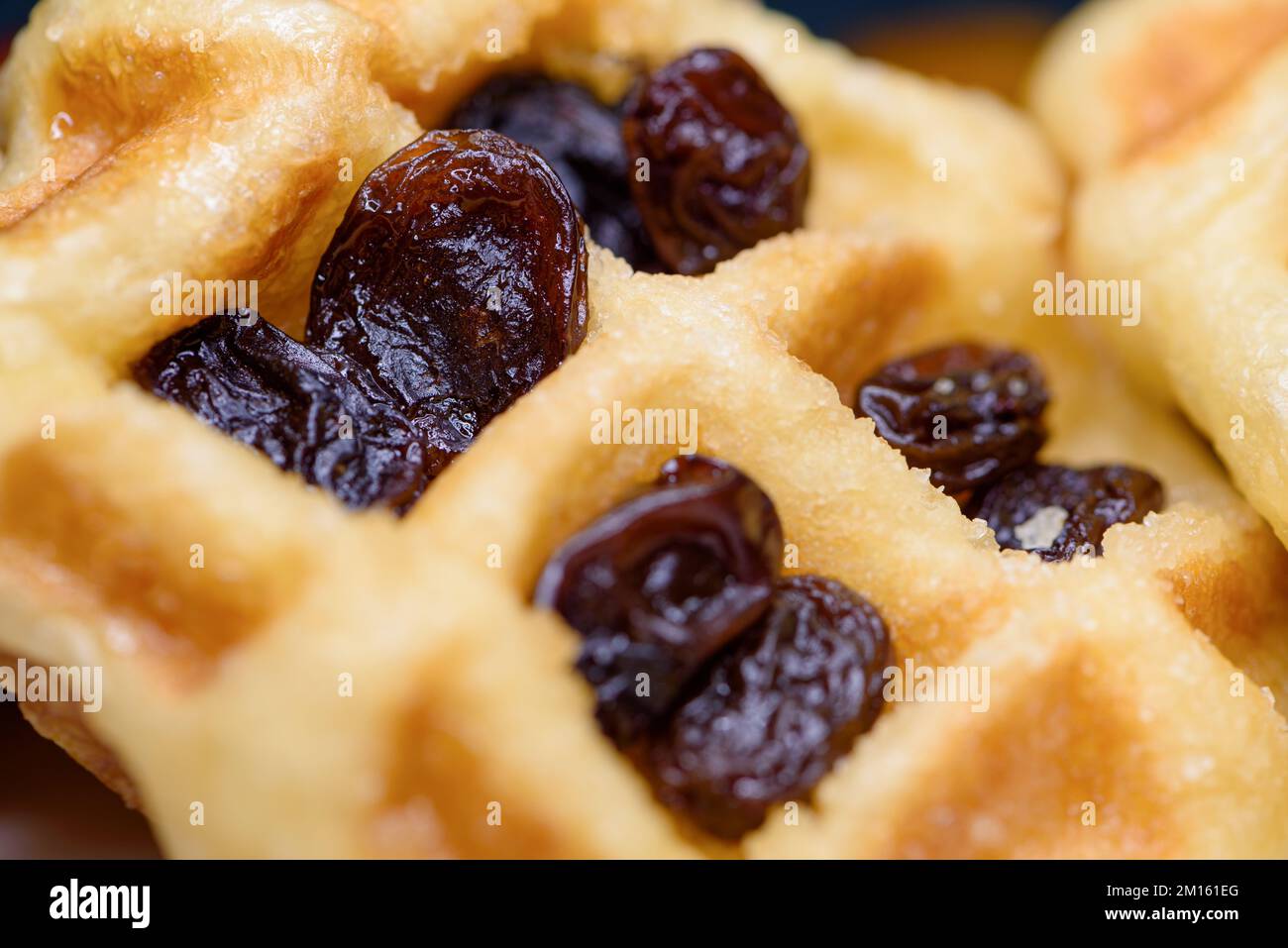 Close up of fresh waffles with dried raisins delicious sweet on top