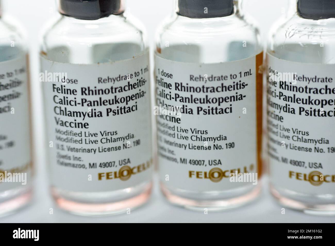 Feline rhinotracheitis hotsell calici panleukopenia vaccine