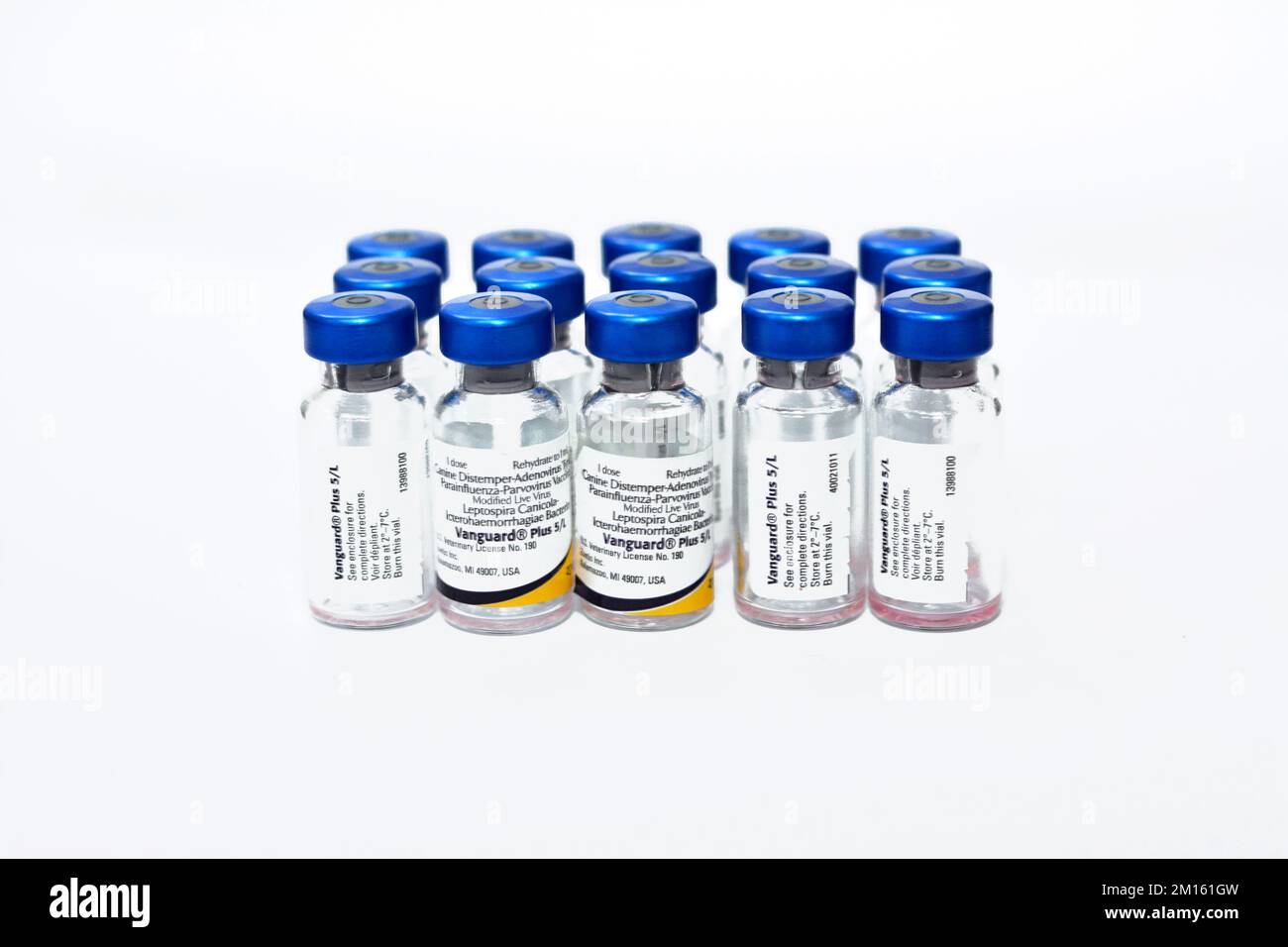 Cairo, Egypt, December 8 2022: Vanguard plus 5 CV-L vaccine for dogs ...