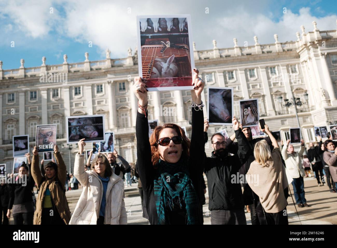 Madrid Rabbit Madrid, Spain. 10th Dec, 2022. A protester holds a photograph of a ...