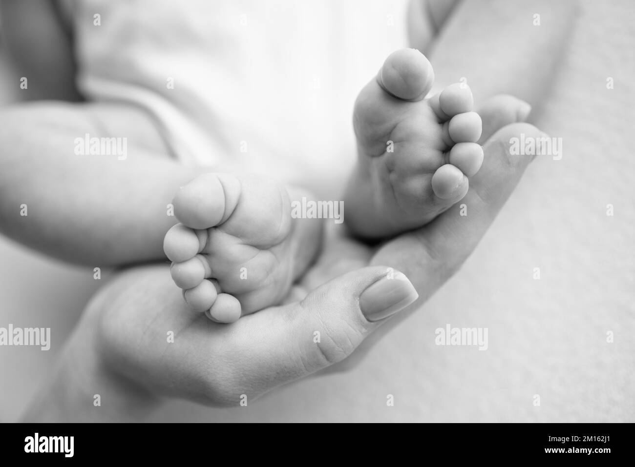 Baby feet in the hands of mother, father, older brother or sister, family.  Stock Photo
