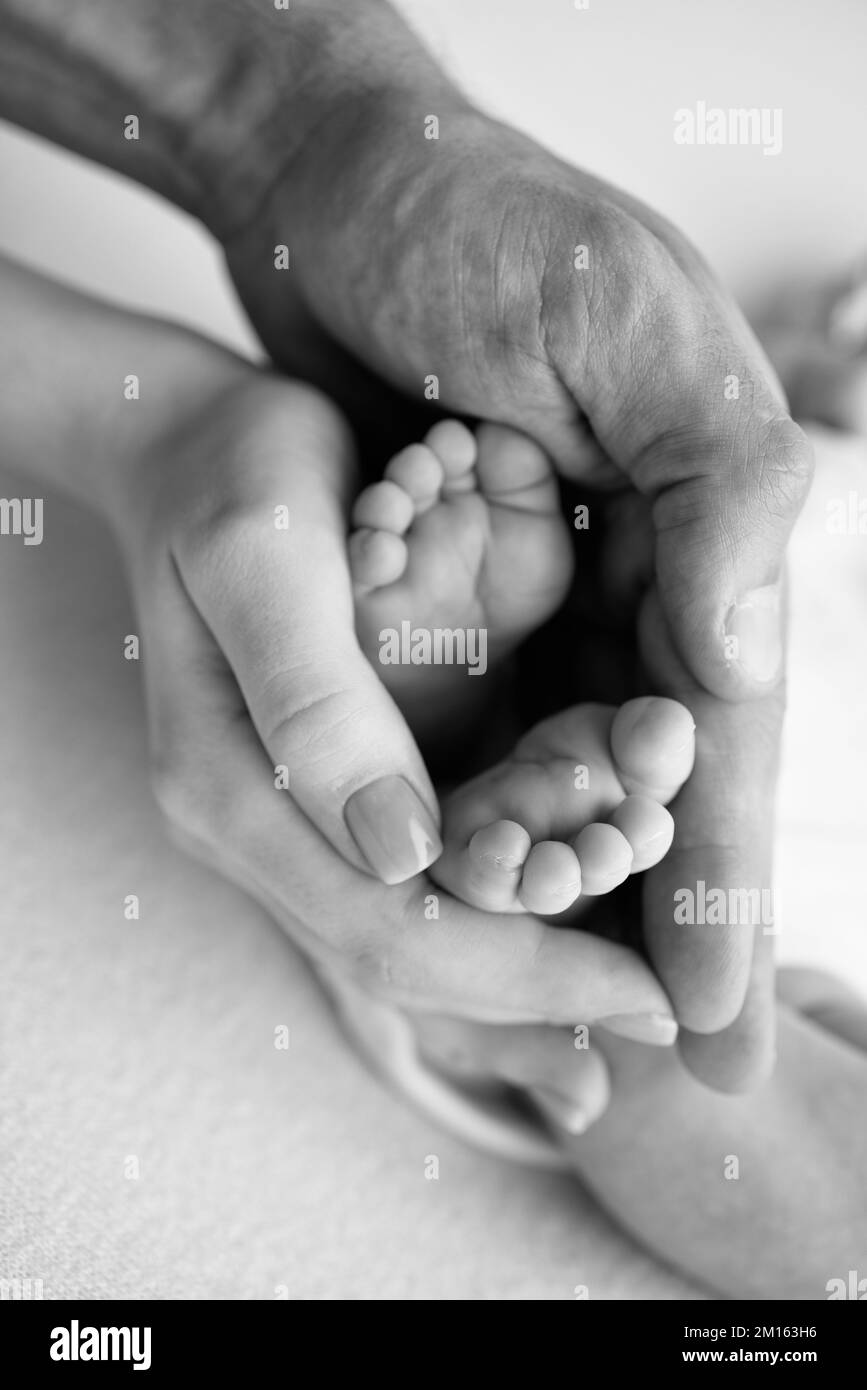 Baby feet in the hands of mother, father, older brother or sister, family. Stock Photo