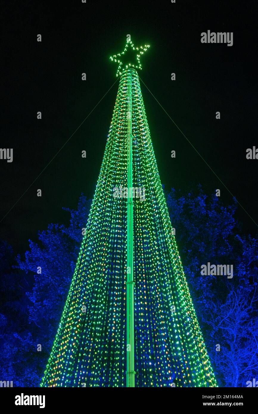 Lighted Christmas tree with moving lights on a light show. Stock Photo