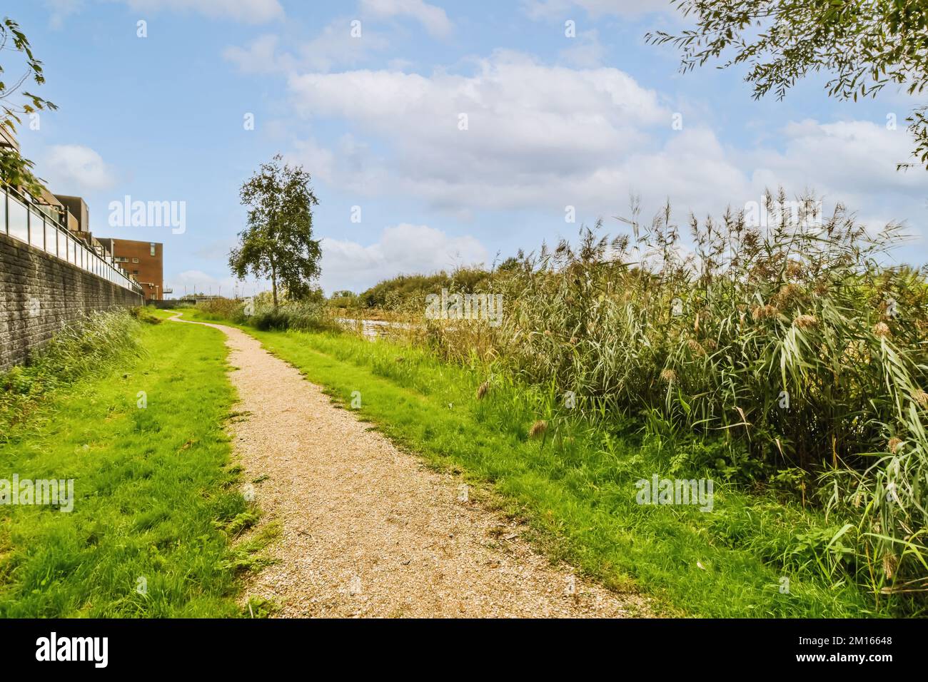 a path leading to an old brick building in the countryside, with green grass and trees on either side stock photo Stock Photo