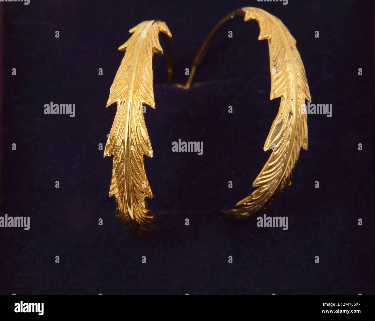 gold feather deign hoop earrings Stock Photo