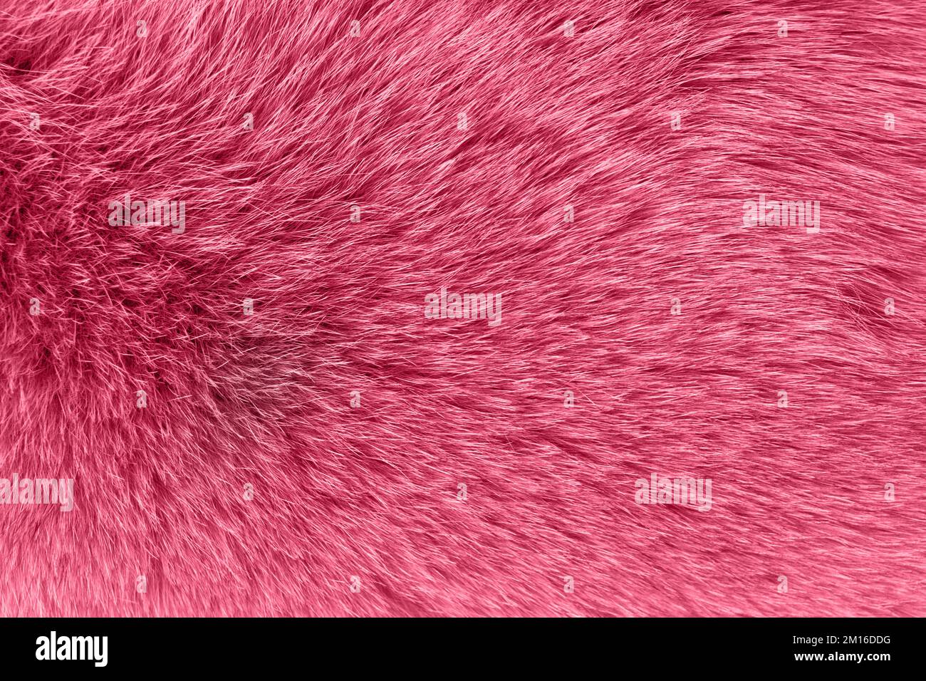 Blue fur background Stock Photo
