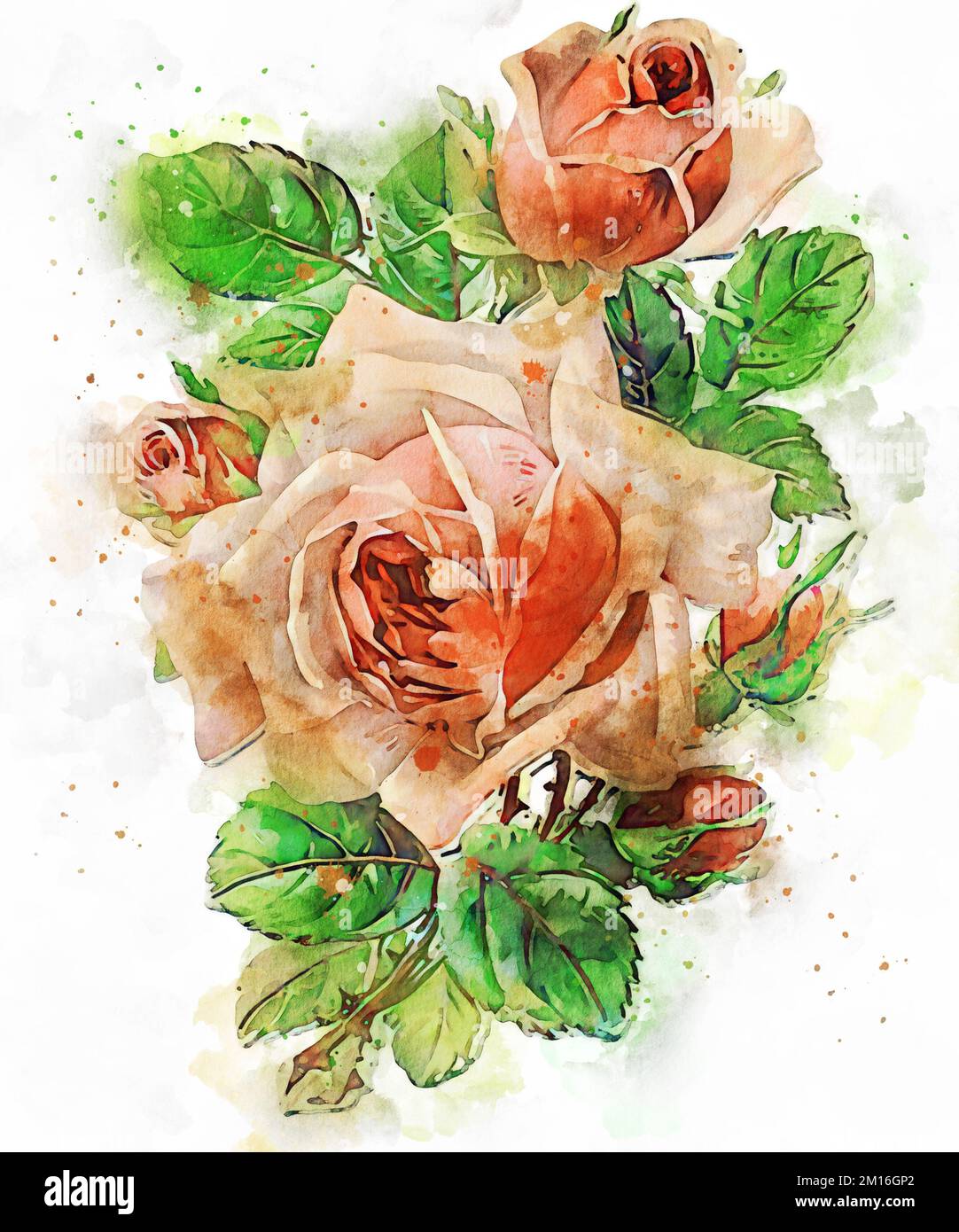 Watercolor Flower Illustration Stock Photo - Alamy