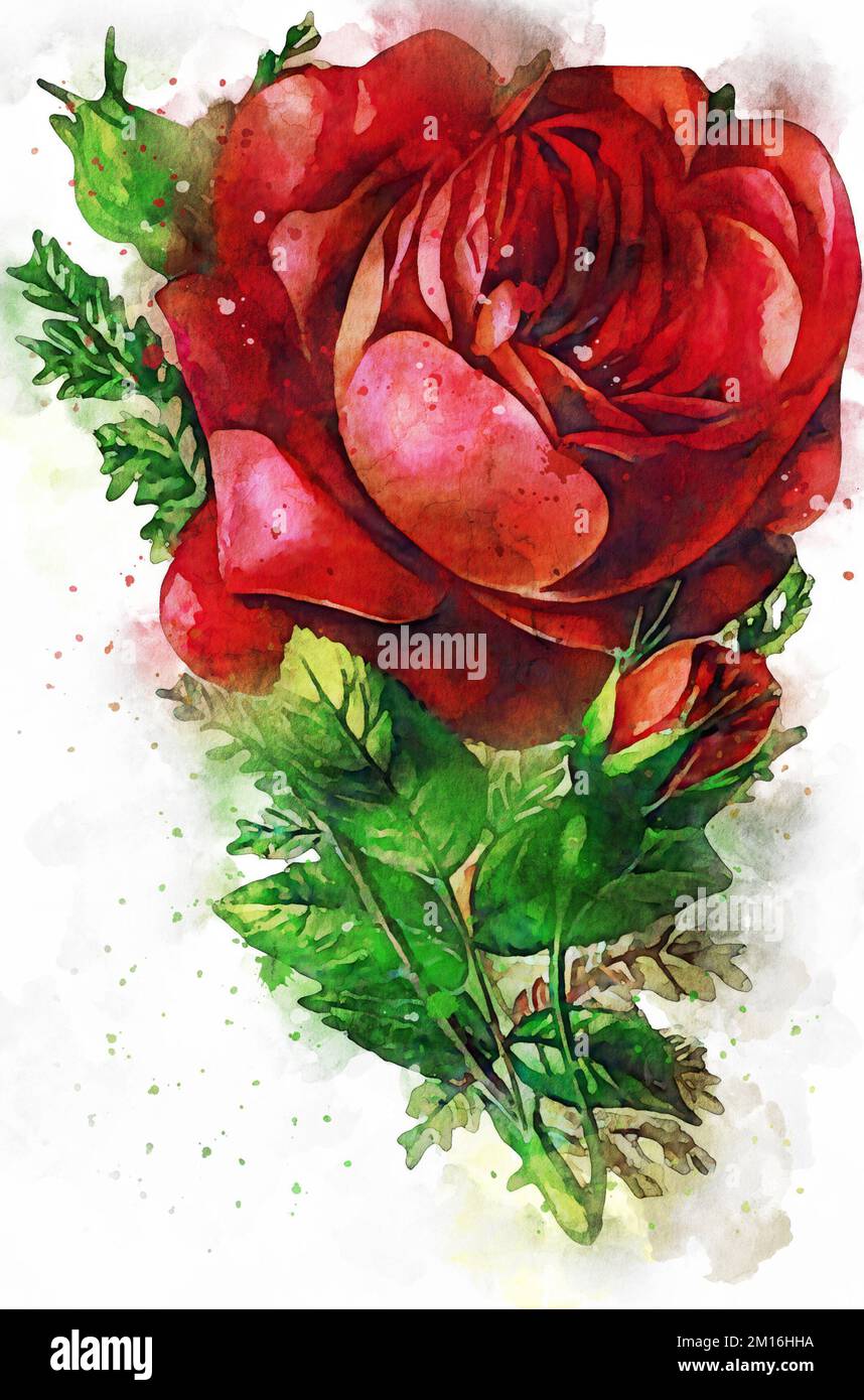 Watercolor Flower Illustration Stock Photo - Alamy