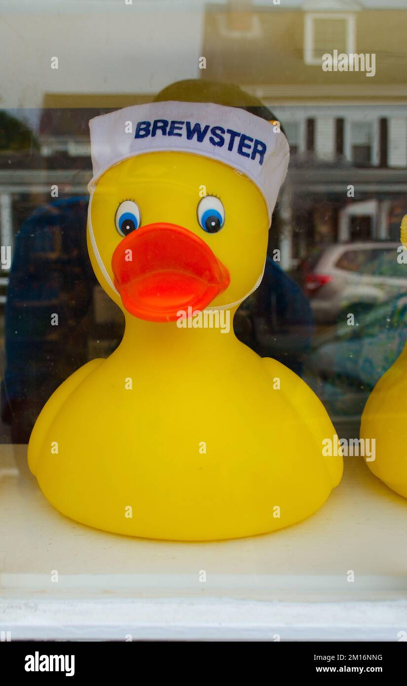 Rubber Ducks in a Store Window. Main Street. Chatham, Massachusetts. Cape Cod. Stock Photo