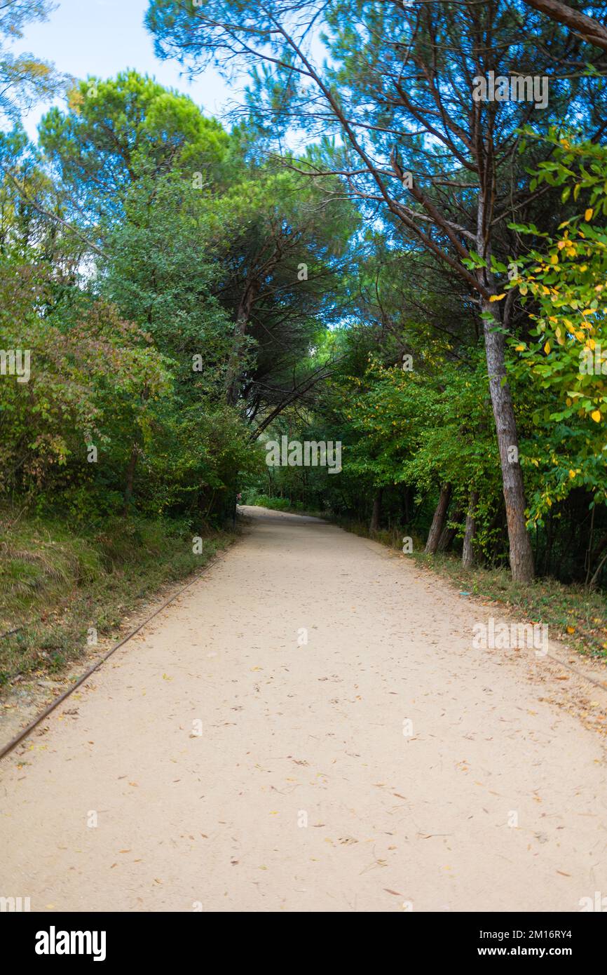 Jogging trail in Ataturk City Forest in Sariyer Istanbul. Healthy lifestyle background vertical photo. Stock Photo