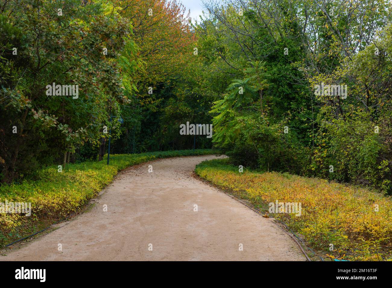 Ataturk City Forest in Sariyer Istanbul. Jogging trail in the forest. Healthy lifestyle background photo. Stock Photo