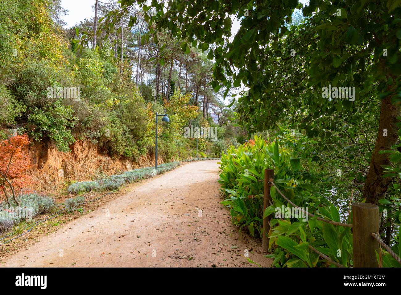 Jogging or hiking trail in the forest. Recreation area. Ataturk City Forest or Haciosman Korusu in Istanbul. Stock Photo