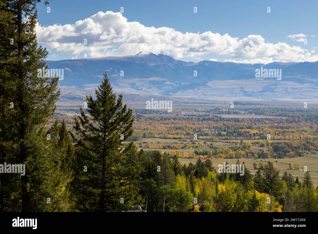 The Sleeping Indian peak rising in the distance above the valley of Jackson Hole as fall colors decorate the landscape. Bridger-Teton National Forest, Stock Photo