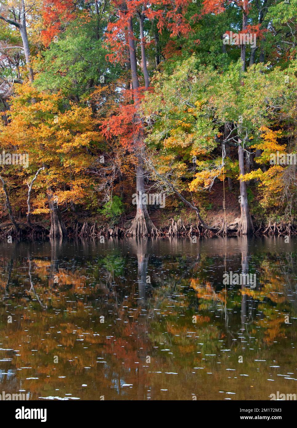 Mountain Fork River Stock Photo Alamy