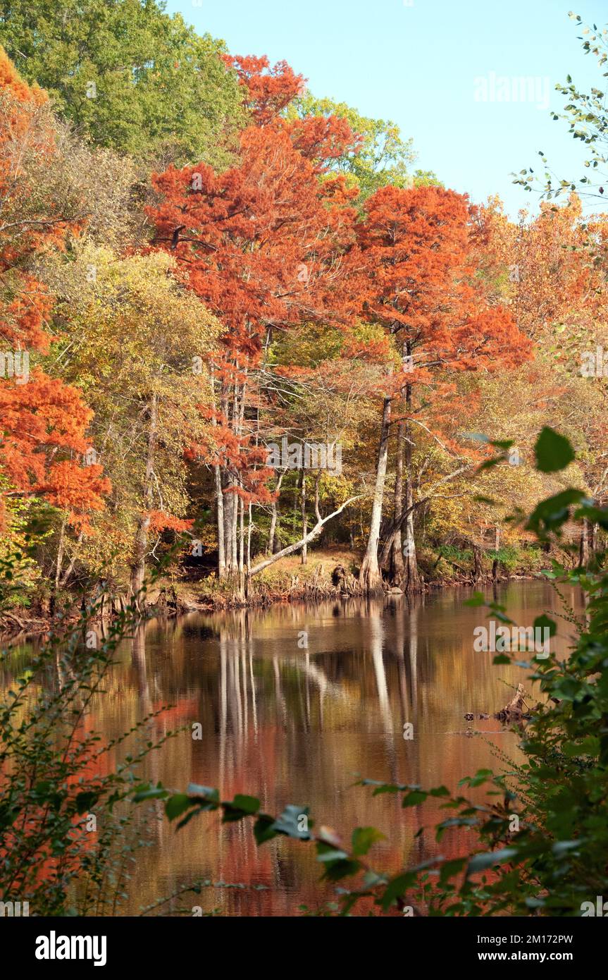 Mountain Fork River Stock Photo Alamy