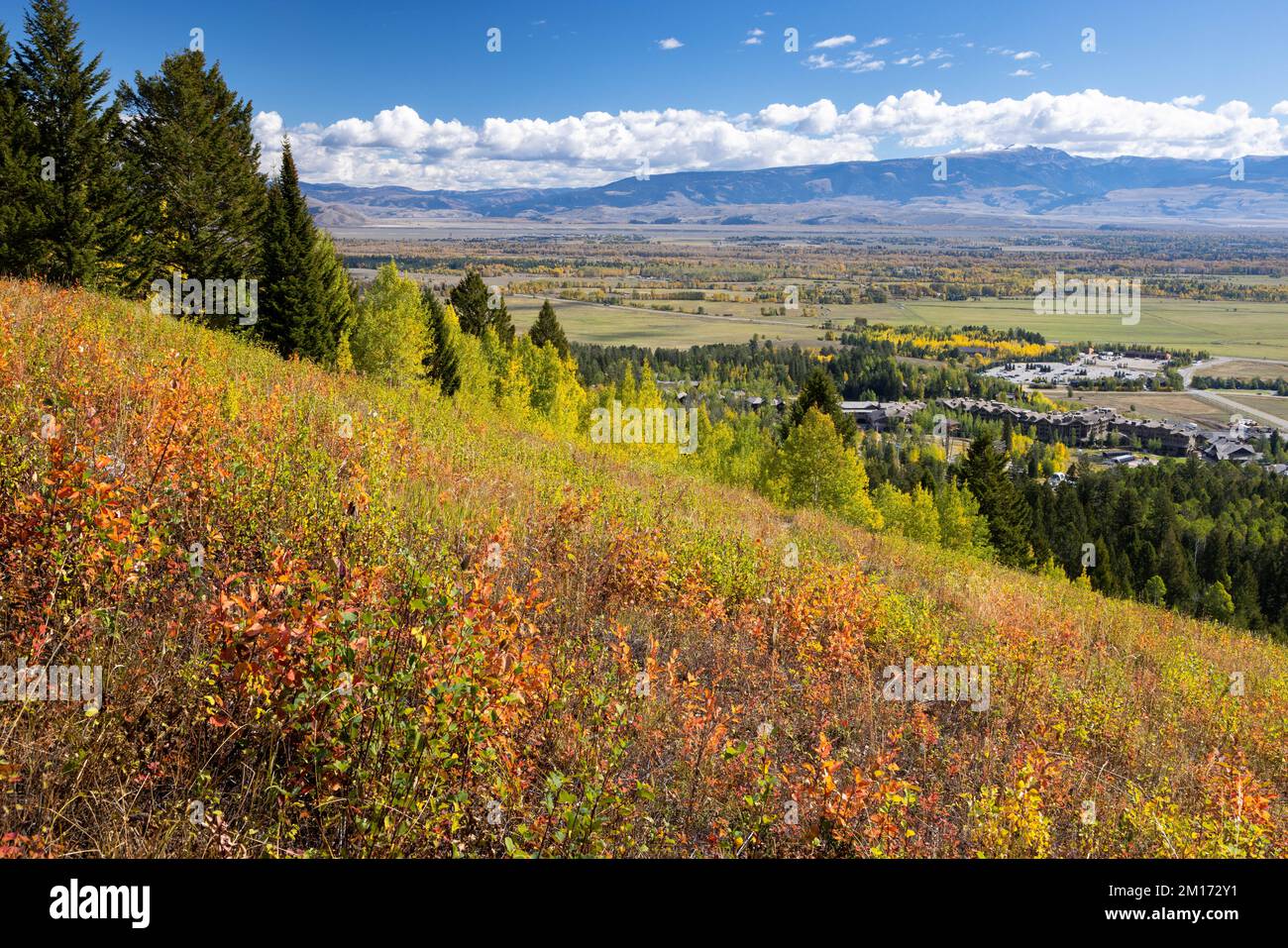The valley of Jackson Hole stretching out below the Saratoga Trail at Jackson Hole Mountain Resort. Bridger-Teton National Forest, Wyoming Stock Photo