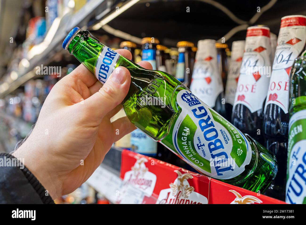 Tuborg beer bottles on shelves in a supermarket. Buyer takes Tuborg beer. Hand is holding Tuborg beer. Minsk, Belarus, 2022 Stock Photo