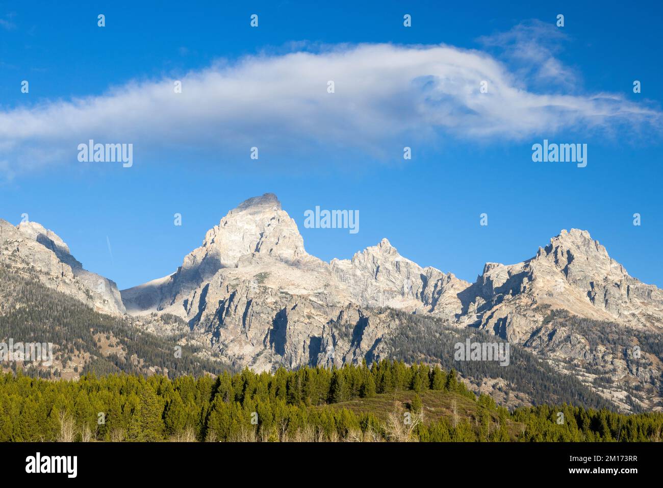 The Cathedral Group of Teton peaks rising high above the glacial moraine along the Taggart Lake Trail. Grand Teton National Park, Wyoming Stock Photo