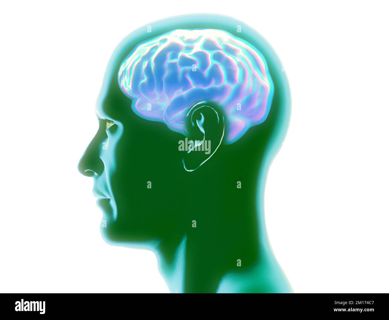 Neurology, philosophy: connections, the development of thought and reflection, the infinite possibilities of the brain and mind. Human anatomy Stock Photo